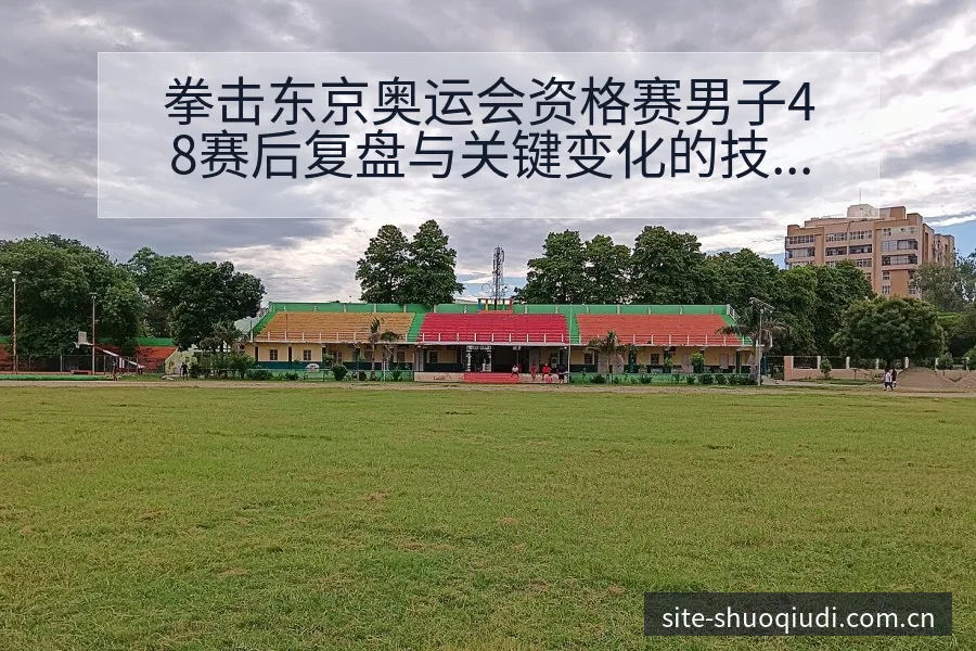 拳击东京奥运会资格赛男子48赛后复盘与关键变化的技术特点 - 说球帝
